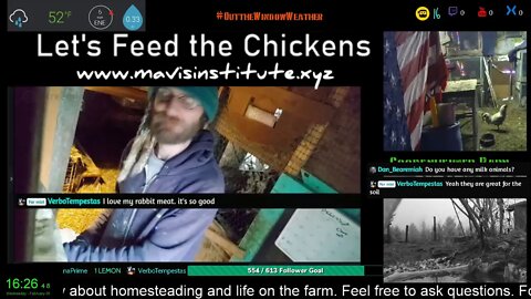 Another Day in Chaos Paradise : Let's Feed the Chickens : EP 47 :