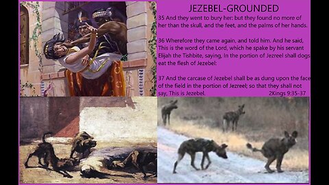 JEZEBEL GROUNDED #44