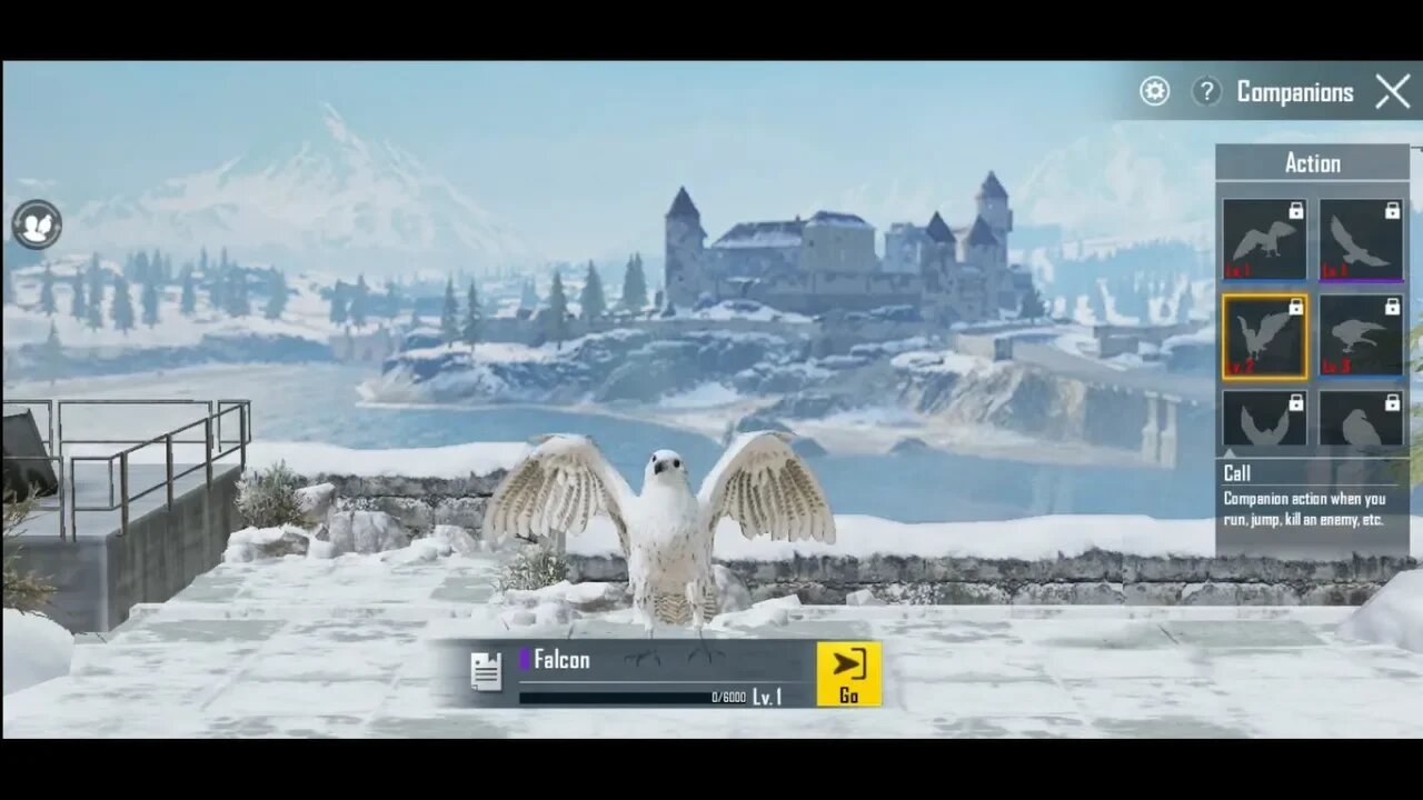 Falcon Companion in PUBG MOBILE