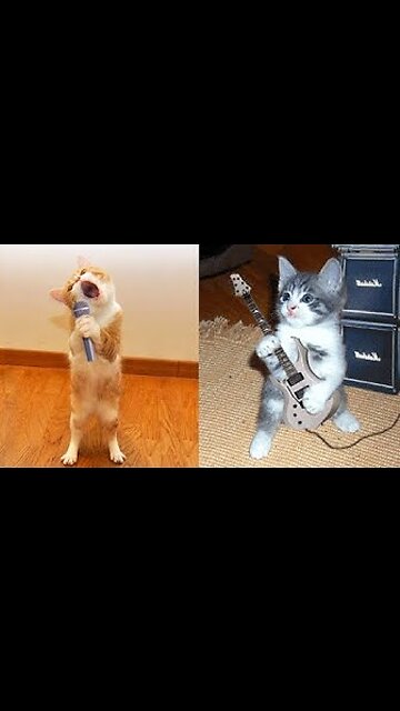 Beautiful Cats😹 & Dogs🐶 Videos of 2023 Compilation! #