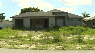 'Weeds up to the windows': Cape Coral neighborhood dealing with two vacant homes