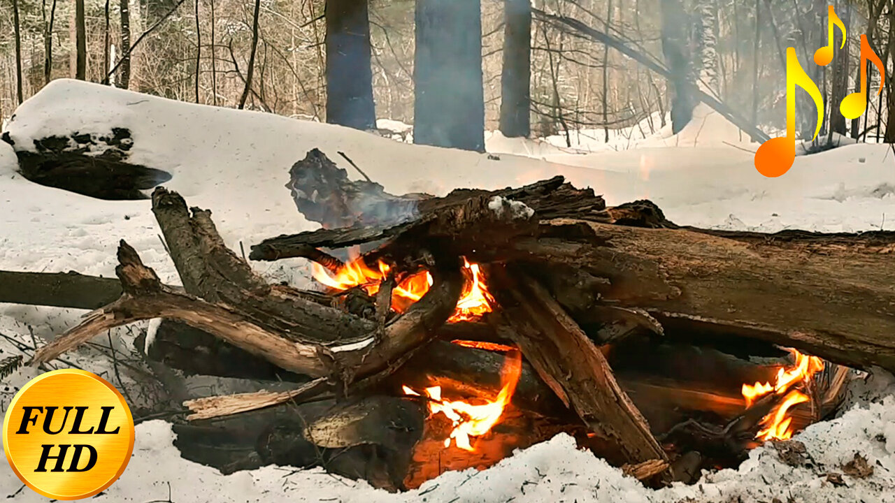 Winter forest сozy bonfire🔥FullHD🔥True cute fire sound ⛺️Quiet MUSIC⛺️ Burning campfire on Bonfire Vibez