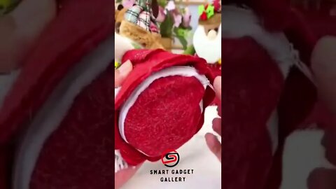 #tiktok #tiktokchina #beauty #kitchentools #future #shorts#smartgadgetgallery