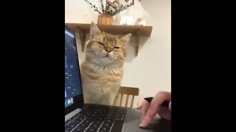 Employee of the Month