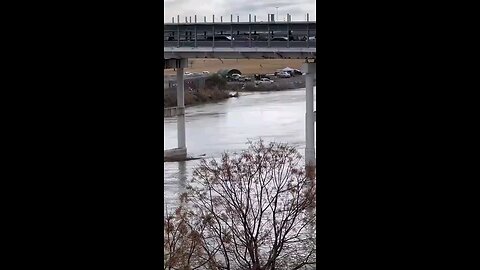 Early morning and this is what our border should have looked like for the last 3 years...