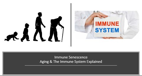 Immune Senescence & Aging Explained