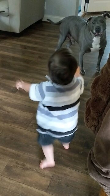 Nothing like some afternoon fun