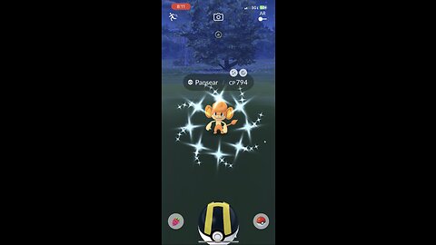 Shiny Pansear encounter in Pokémon GO!