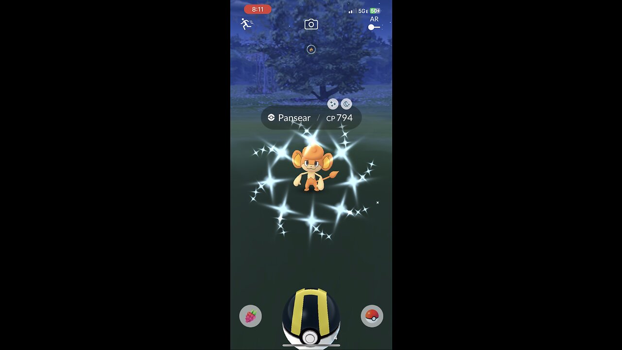 Shiny Pansear encounter in Pokémon GO!