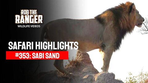 Safari Highlights #353: 17 - 19 July 2015 | Sabi Sand Nature Reserve | Latest Wildlife Sightings