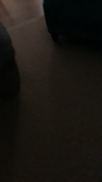 Walla walla bang bang status