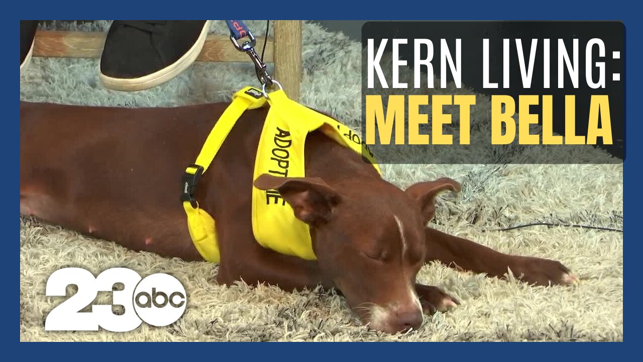 Kern Living: Meet Bella