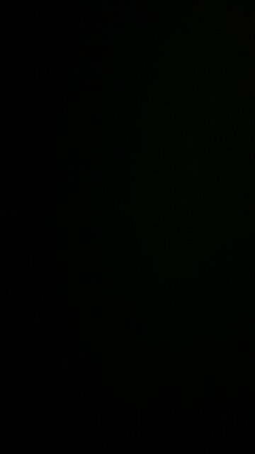 Conceived on Staten Island