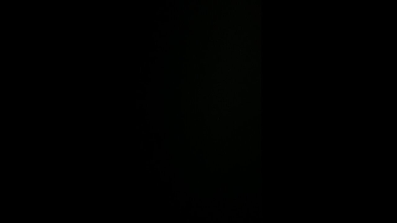 Conceived on Staten Island