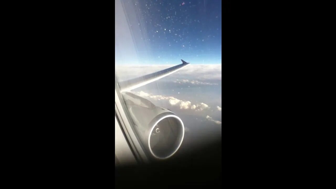 Airbus A320 V2500 Engine Inflight Rotation Cruising at 30000 feet