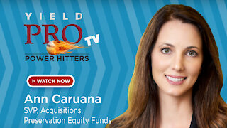 Power Hitters with Ann Caruana