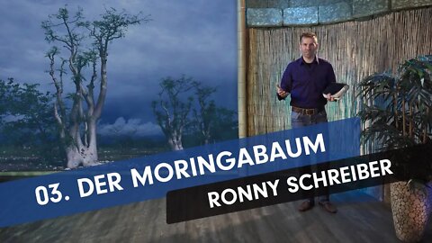 03. Der Moringabaum # Ronny Schreiber # Missionsberichte