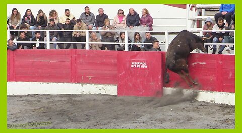 RADA ( NAVARRA ) TARDE VACAS CALLE Y PLAZA ( SABADO 13 MAYO 2023 ) GANAD.HNOS.GRACIA BLASCO