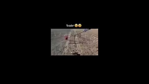 Funny