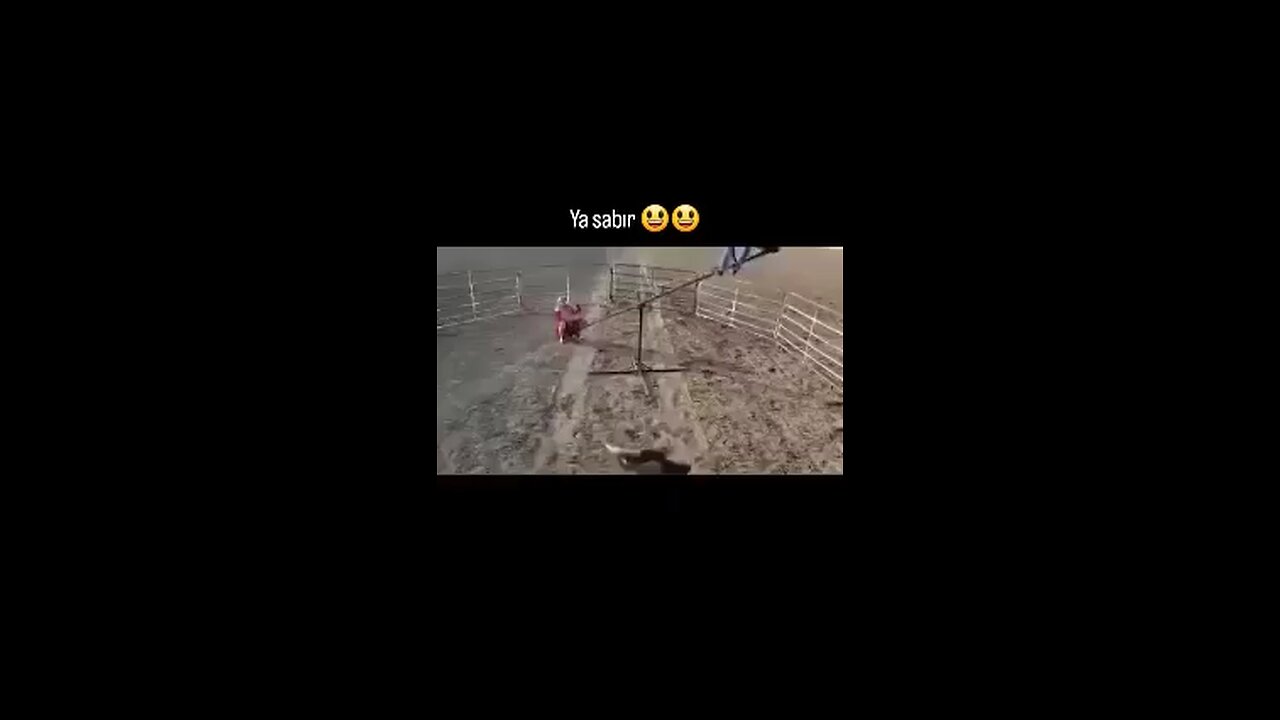 Funny