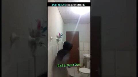 Qual é o mais medroso?