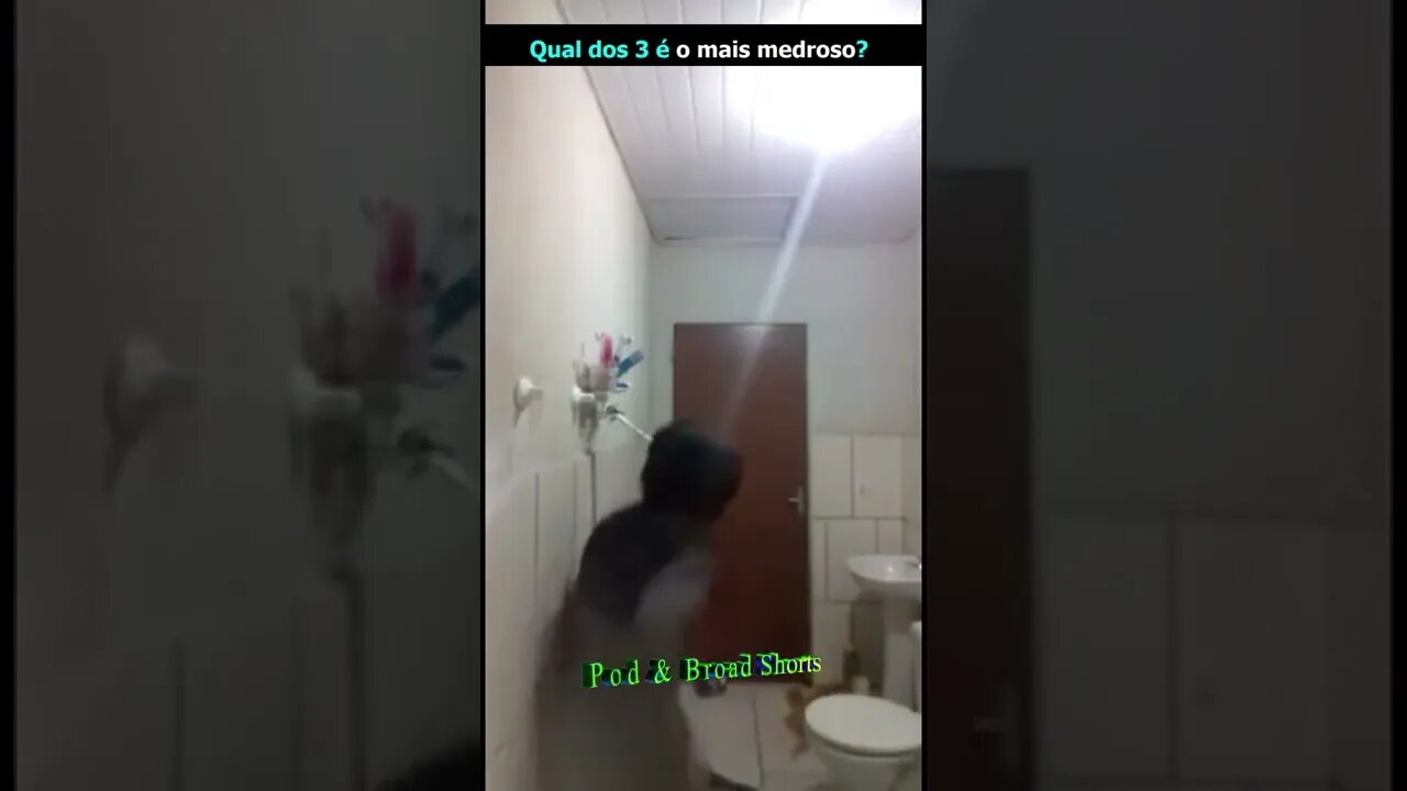 Qual é o mais medroso?