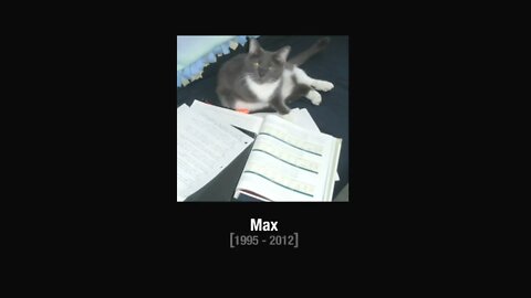 [adult swim] Max The Cat Memorial Bump (September 09, 2012)