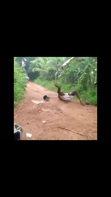 Hilarious Snake Comedy Video! 🐍😂 | #funny #snake #comedy