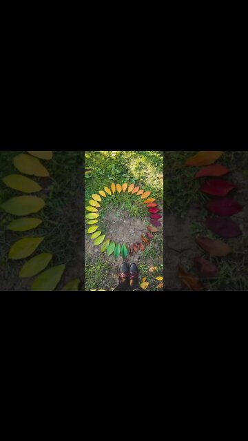 Nature Photography 🌱 - Shot of the Day nr.5 📸