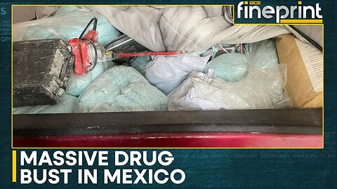 Massive Drug Bust In Mexico, Authorities Seize Over A Ton Of Fentanyl Pills In Sinaloa | Fineprint