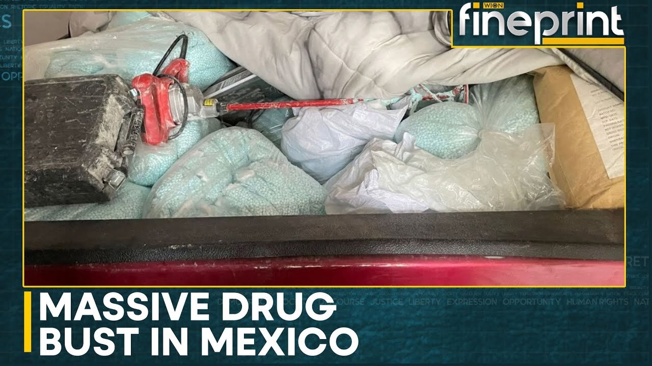 Massive Drug Bust In Mexico, Authorities Seize Over A Ton Of Fentanyl Pills In Sinaloa | Fineprint