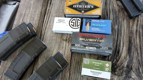 300 Blackout Ammo Review (Sig, PPU, Magtech, Herters, Winchester)