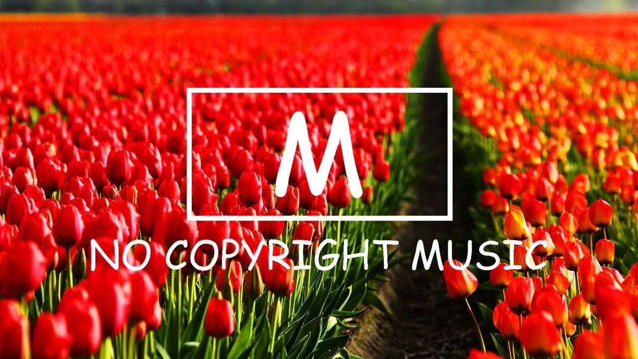 Markvard - Memories（Mm No Copyright Music）