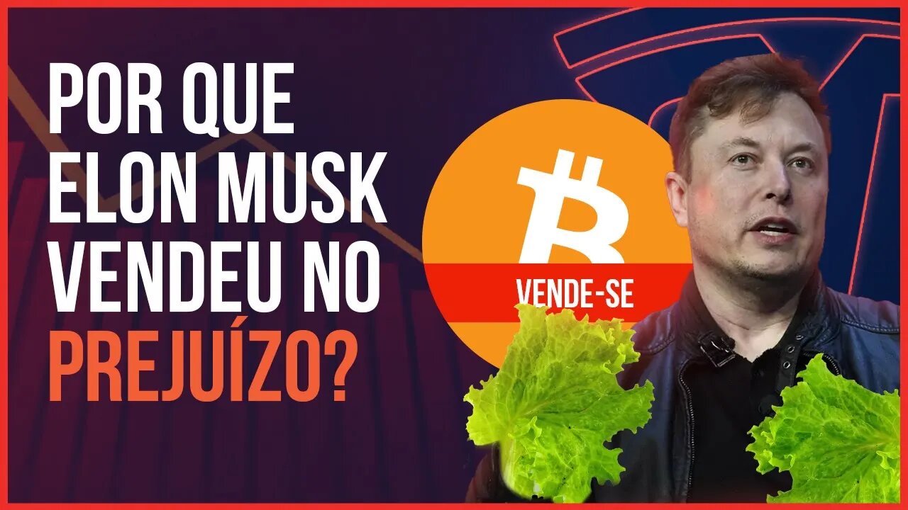 TESLA vende seus Bitcoins! Mercado vai desabar com fuga das baleias?