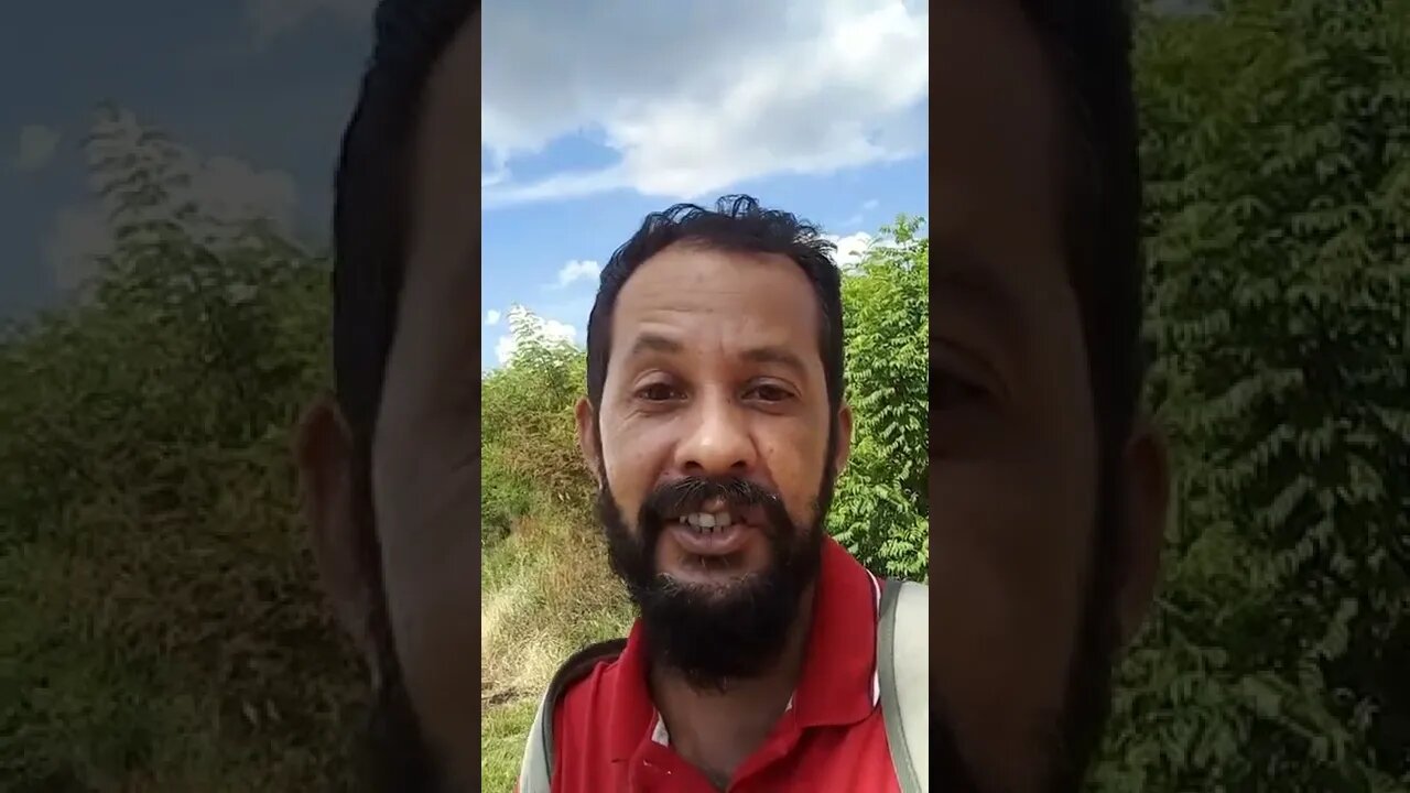 Fim da Ignorância