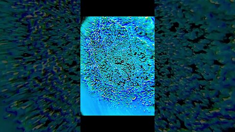 Images under microscope wow