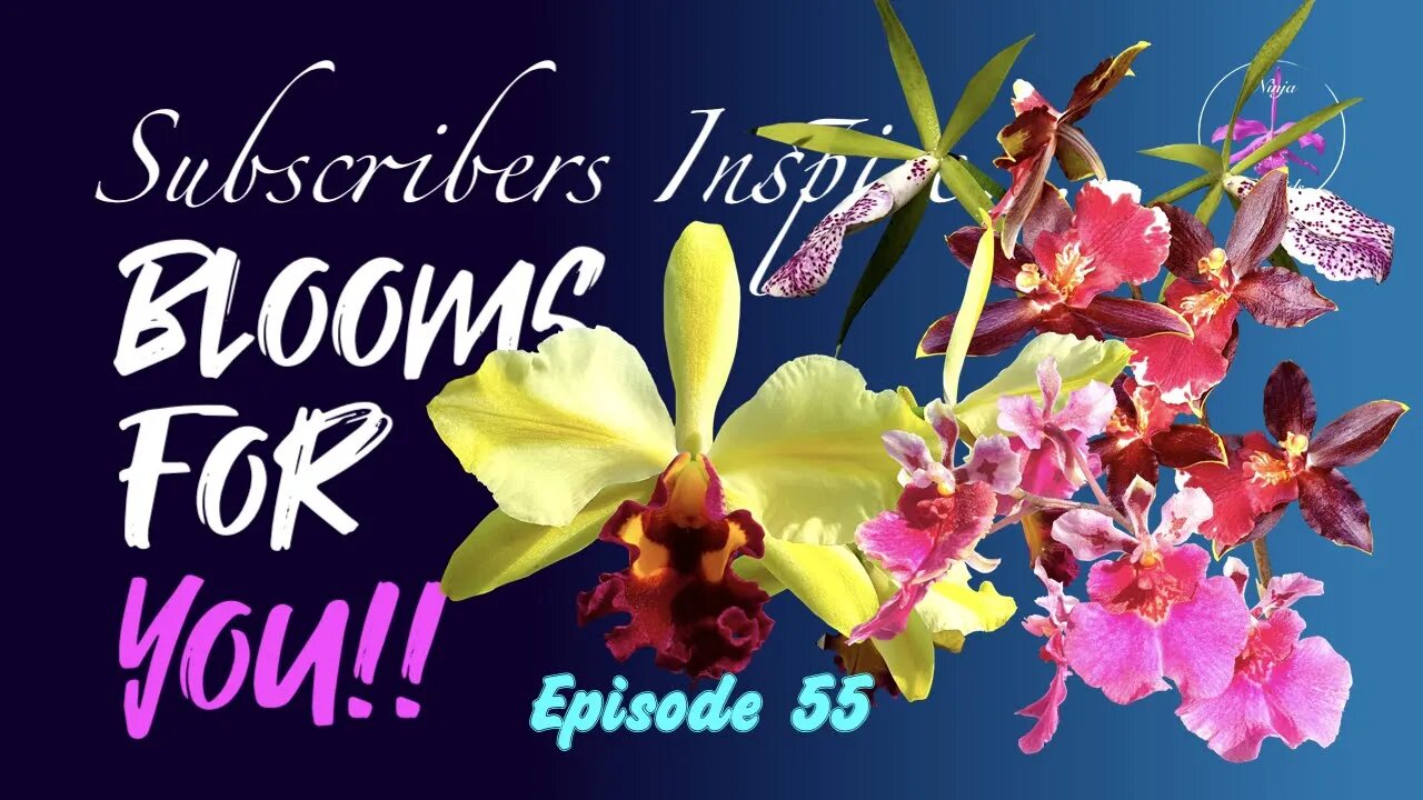 SUBSCRIBERS INSPIRE| You color my life | Blooms for YOU! Episode 55 🌸🌺🌼💐#Orchids #OrchidsinBloom