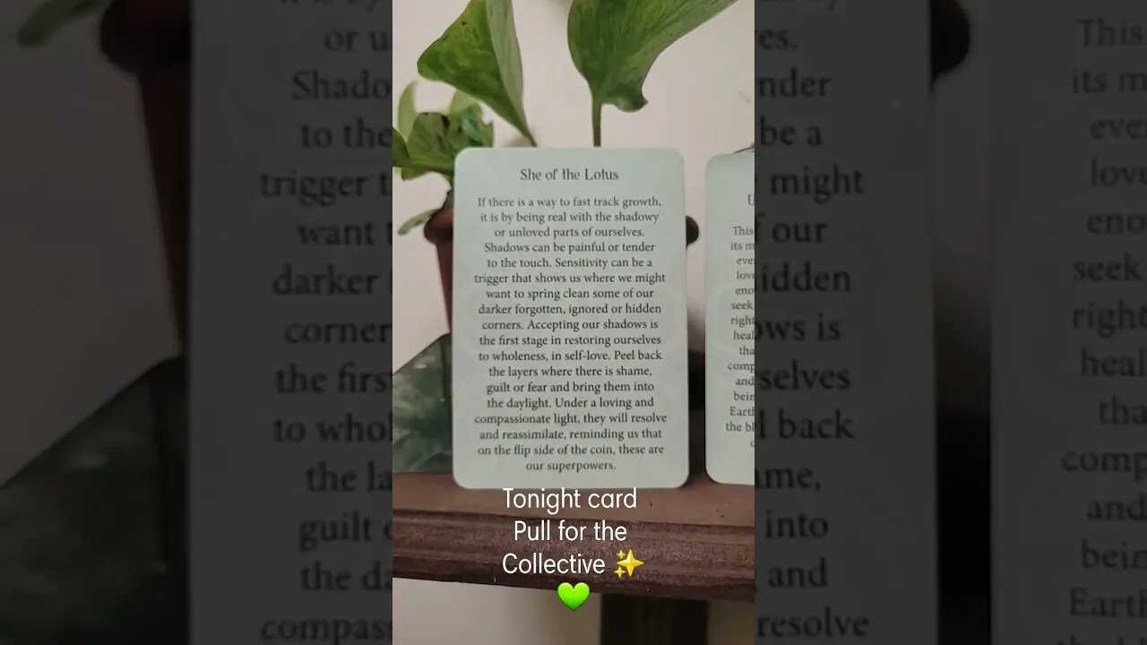 Enjoy this evenings card pull for the collective ✨️💚💫