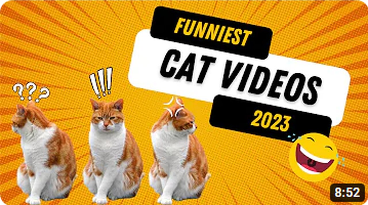 Best Funny Animal Videos 2023 😍 #1 Funniest Cats And Dogs Videos 😅