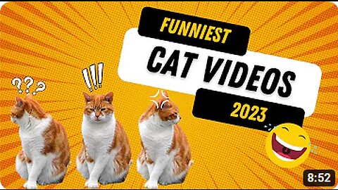 Best Funny Animal Videos 2023 😍 #1 Funniest Cats And Dogs Videos 😅