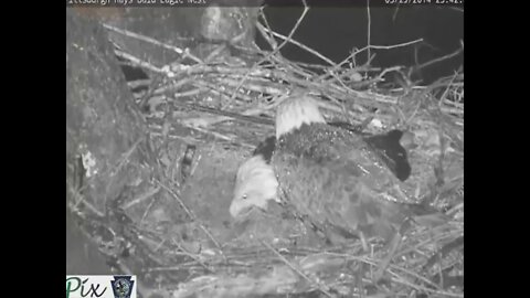 Hays Eagles Dad protects Mom in a storm 3.29.14 23:42