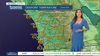 ABC 10News Pinpoint Weather with Weather Anchor Vanessa Paz