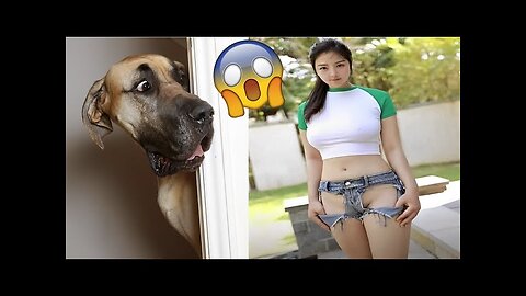 Funniest Animals Video - Funny Dogs And Cats - Try Not To Laugh Animals