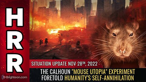 Mike Adams Situation Update, Nov 28, 2022 - The Calhoun "mouse utopia" experiment foretold humanity's self-annihilation - Natural News