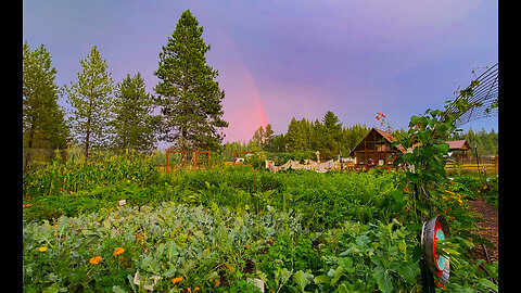 North Idaho Garden Tour with Seed Saving Tips for Flowers, Herbs, Vegetables