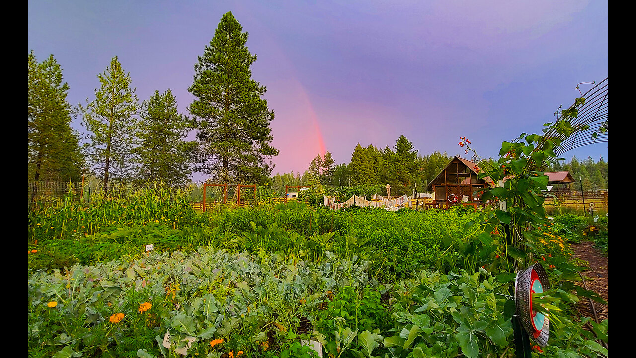 North Idaho Garden Tour with Seed Saving Tips for Flowers, Herbs, Vegetables