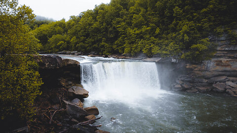 Moments in the Smokies