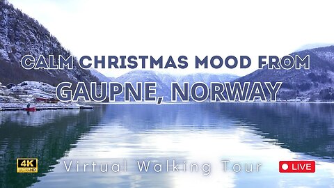 🎄 Christmas Vibes in Norway: Gaupne's Majestic Fjord Life 🛶❄️