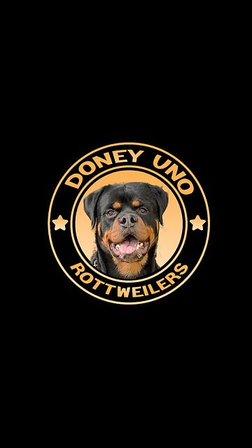 ZEUS-DONEYUNO NEW ADVENTURES WITH HIS NEW FAMILY.