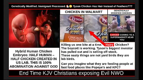 Genetically Modified. Immigrant Processed.🐔😳 Tyson Chicken Has Hair Instead of Feathers???